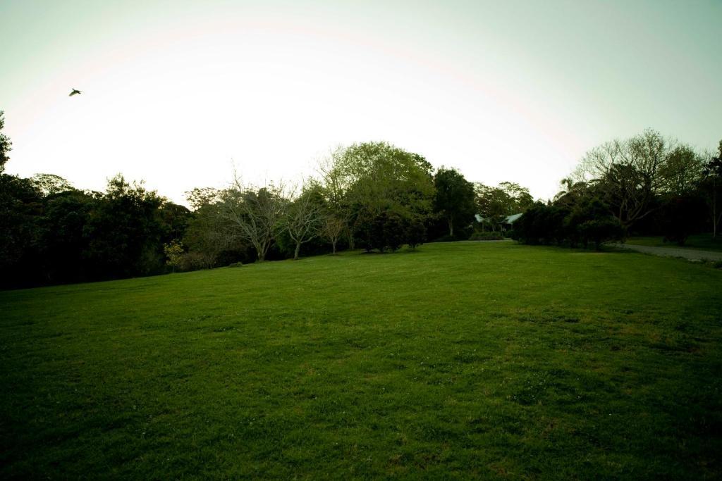 Mt Glorious Getaways Villa Mount Glorious Exterior foto