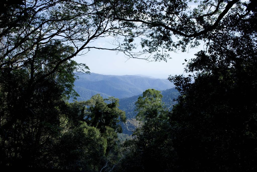Mt Glorious Getaways Villa Mount Glorious Exterior foto