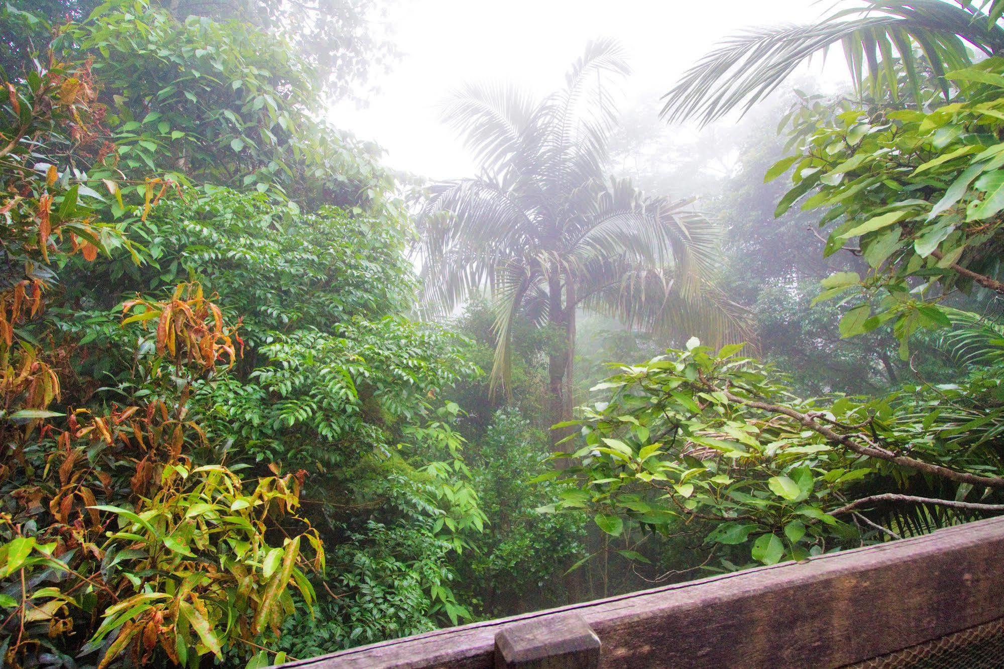 Mt Glorious Getaways Villa Mount Glorious Exterior foto